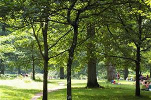 Wenchford Picnic Site